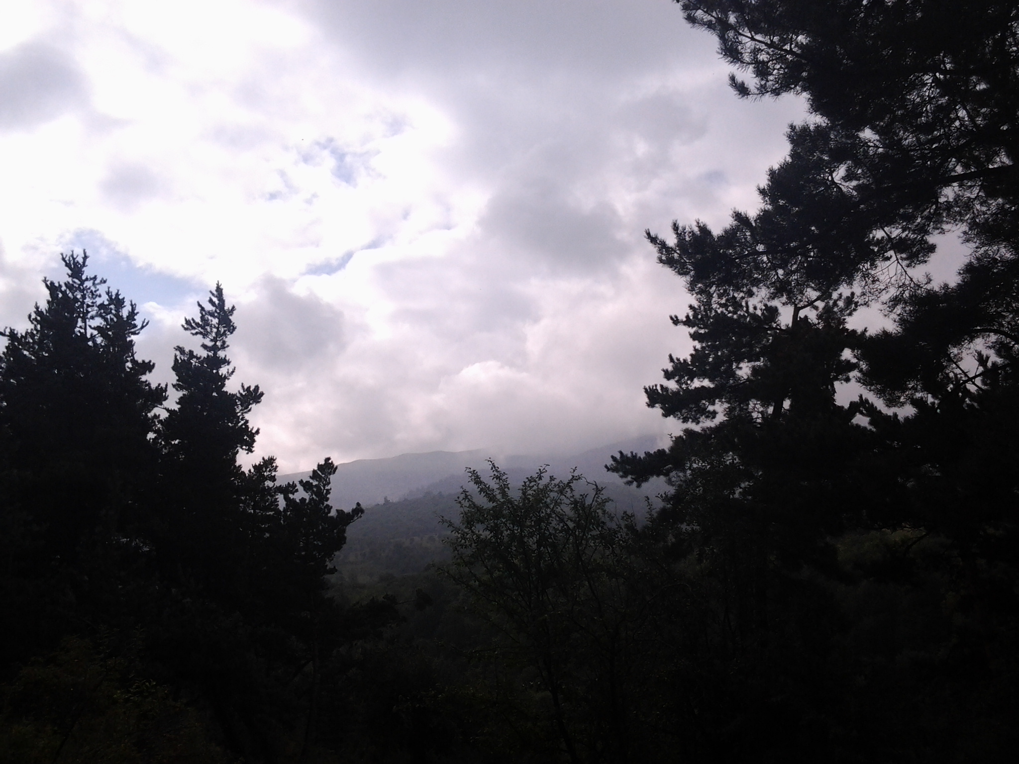 Armenie - Vanadzor l� o� coule la rivi�re Tandzut